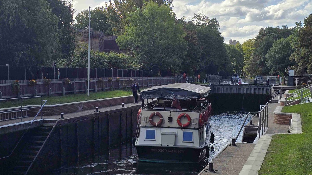 Traffic at my lock - including a swan 🦢 #Thames #boating #Windsor <a href="/kriscruisers/">Kris Cruisers</a>