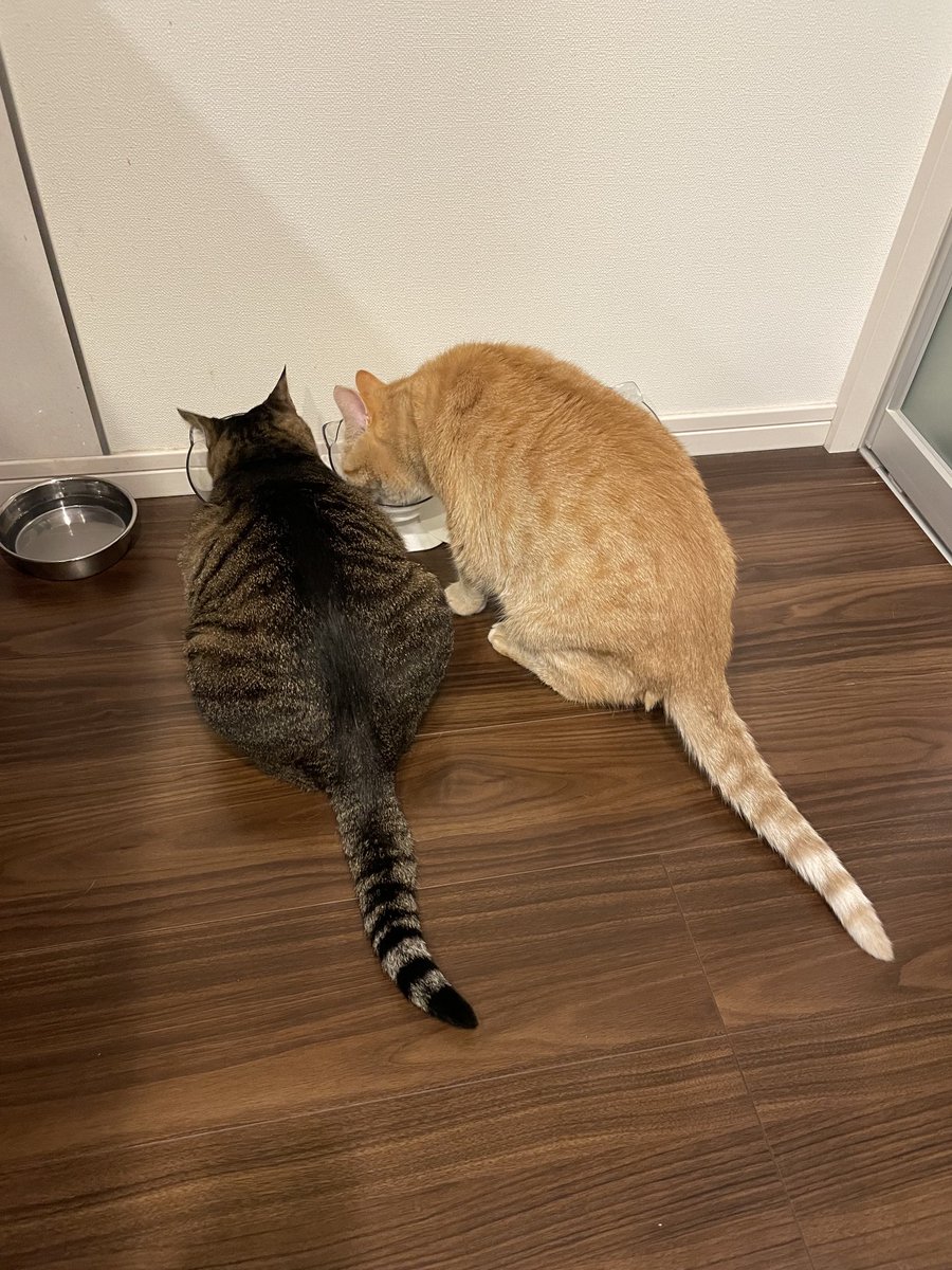 最近ちょっと寒くなってきたね