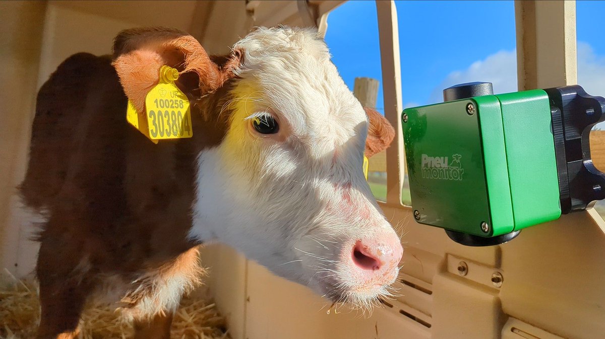 SRUC's tweet image. A sensor developed through a UK-wide programme led by SRUC is helping dairy farmers prevent pneumonia in calves. Pneumonitor tracks pen-level conditions at calf height and has moved to commercial product with support from the Digital Dairy Chain.
buff.ly/eCSWFDh