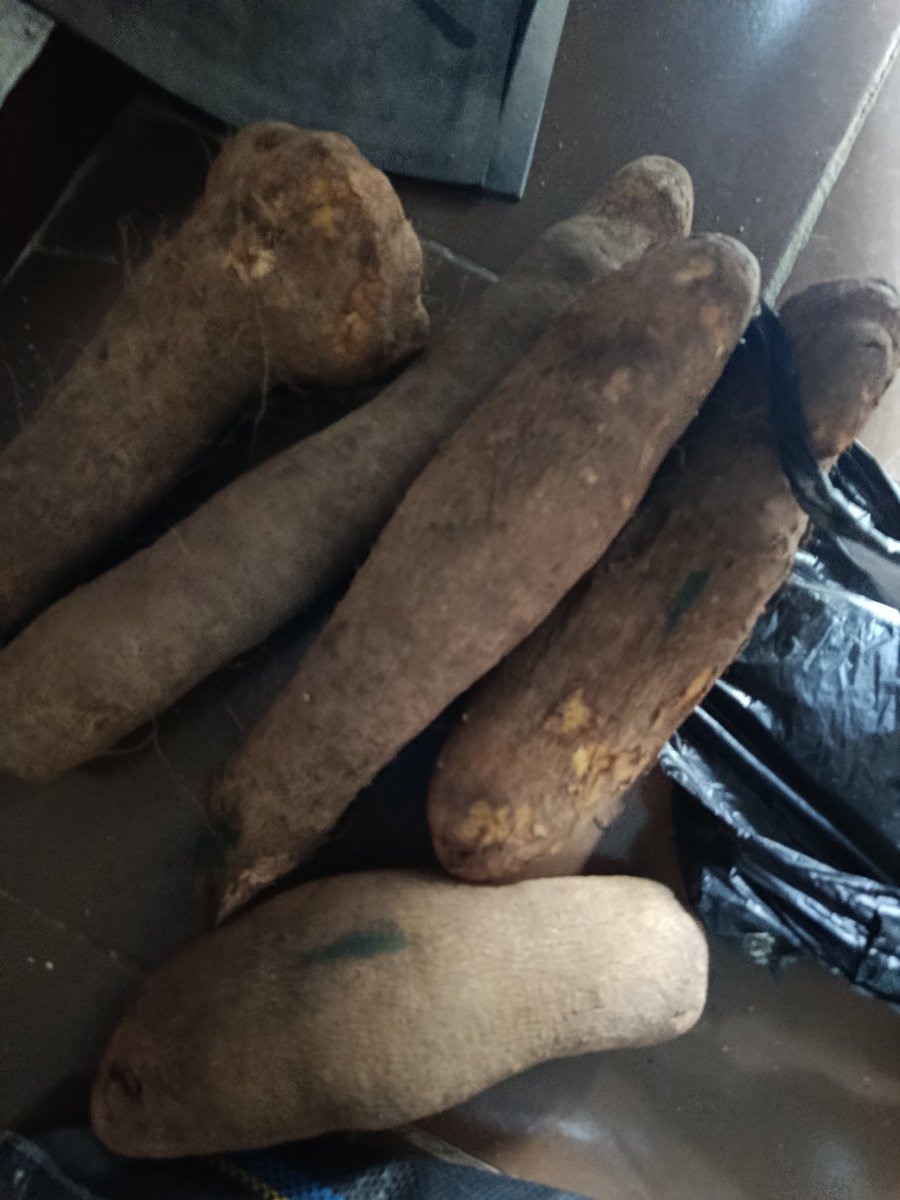 Nigerians are hungry right, Food price is hike right?
I bought this yam inside Osogbo yesterday for #3,500, i don't know if the lady duped me or not, but to me, this price is fair enough.