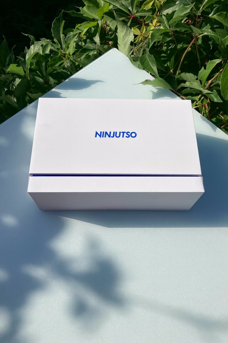 More pure pics of <a href="/ninjutso_ninjas/">NINJUTSO</a> Ten, white paint.
Review soon!