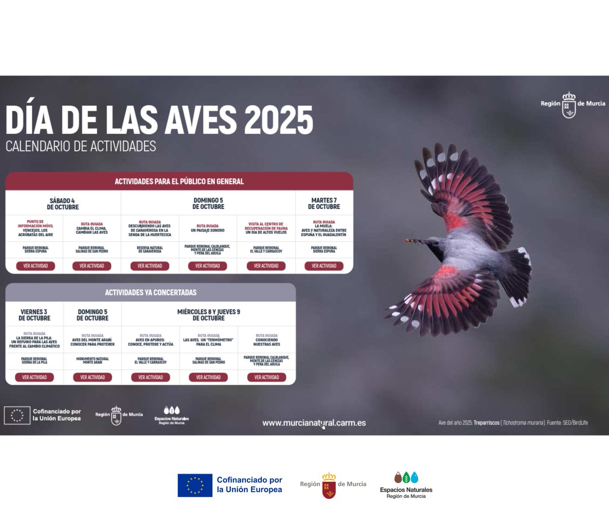 El primer fin de semana de octubre celebramos el #DíaDeLasAves en los #EspNaturalesMur 🐦 🌍 ✨

Te animamos a salir al campo, disfrutar de la #Observación de #Aves y unirte a las actividades gratuitas que hemos preparado ⬇️
🔗murcianatural.carm.es/c/document_lib…