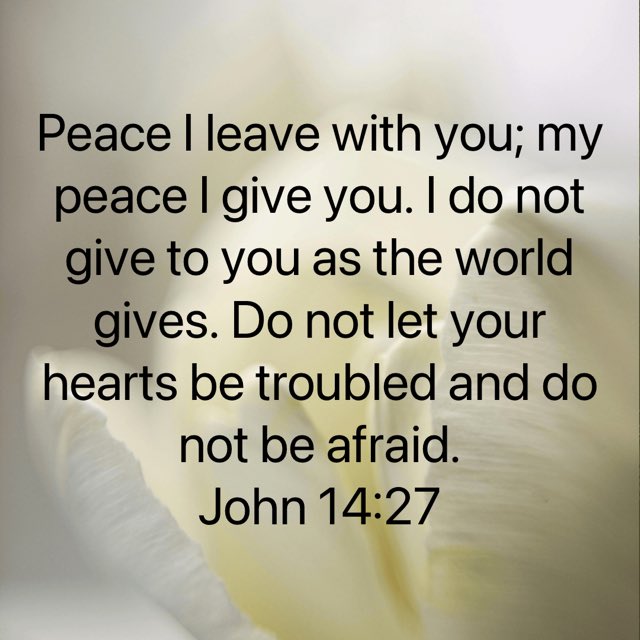 “Peace I leave with you; My peace I give you. I do not give to you as the world gives. Do not let your hearts be troubled and do not be afraid.”
John 14:27 NIV