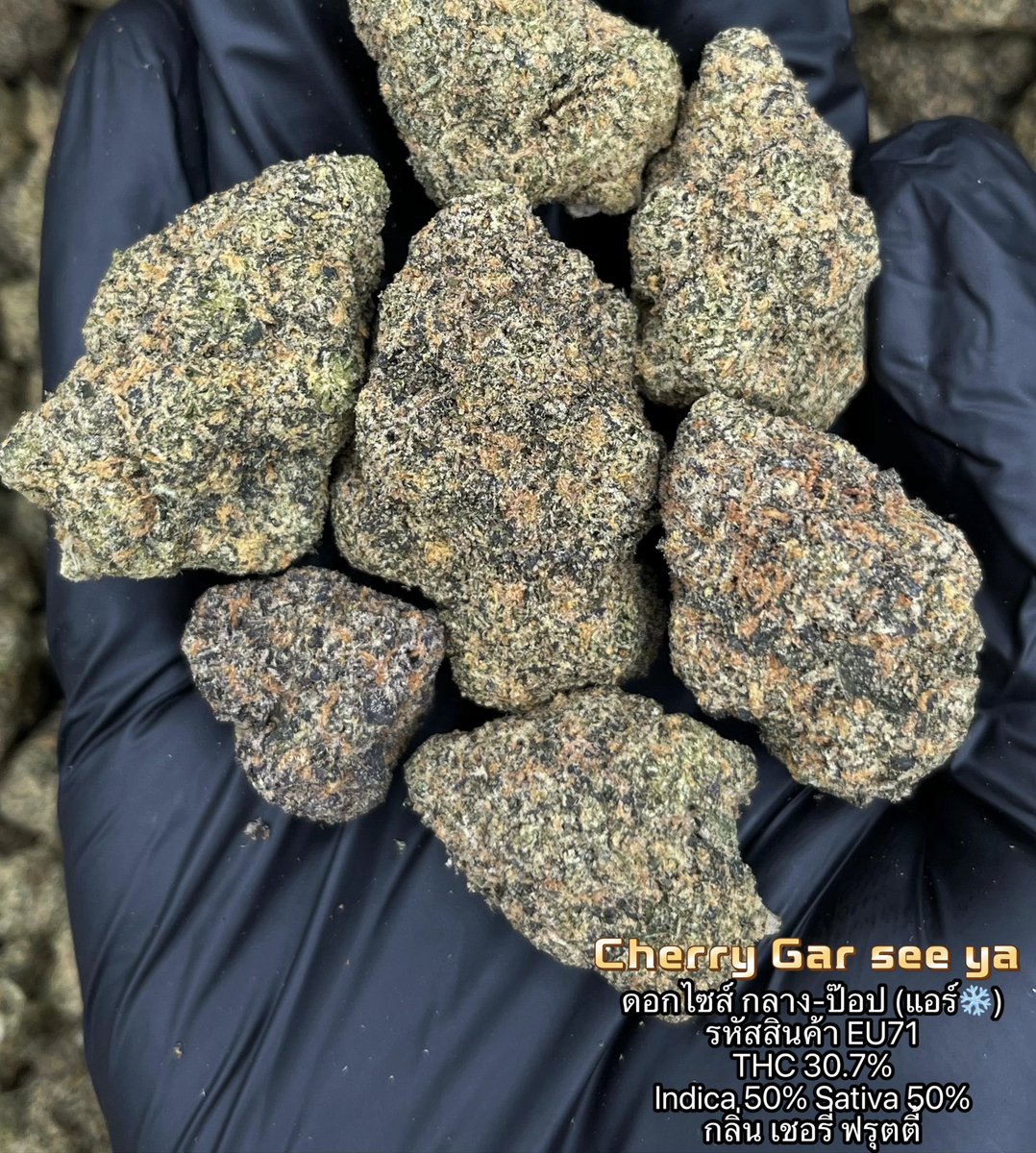 devilcannabis's tweet photo. จัดโปรโมชั่น ขีด 1888 ครึ่งขีด 1111 คละได้
มีจำนวนจำกัด ลิ้งกลุ่ม👇👇
https://t.co/7dfswsbgc1 #กัญชาสกล #กัญชาอำนาจเจริญ #กัญชาบึงกาฬ #กัญชานครนายก #กัญชาศรีสะเกษ #กั���ชาสุรินทร์ #กัญชาชัยภูมิ #กัญชานครสวรรค์ #กัญชาแม่ฮ่องสอน #กัญชากาฬสินธุ์ https://t.co/1Ocg0nfRac