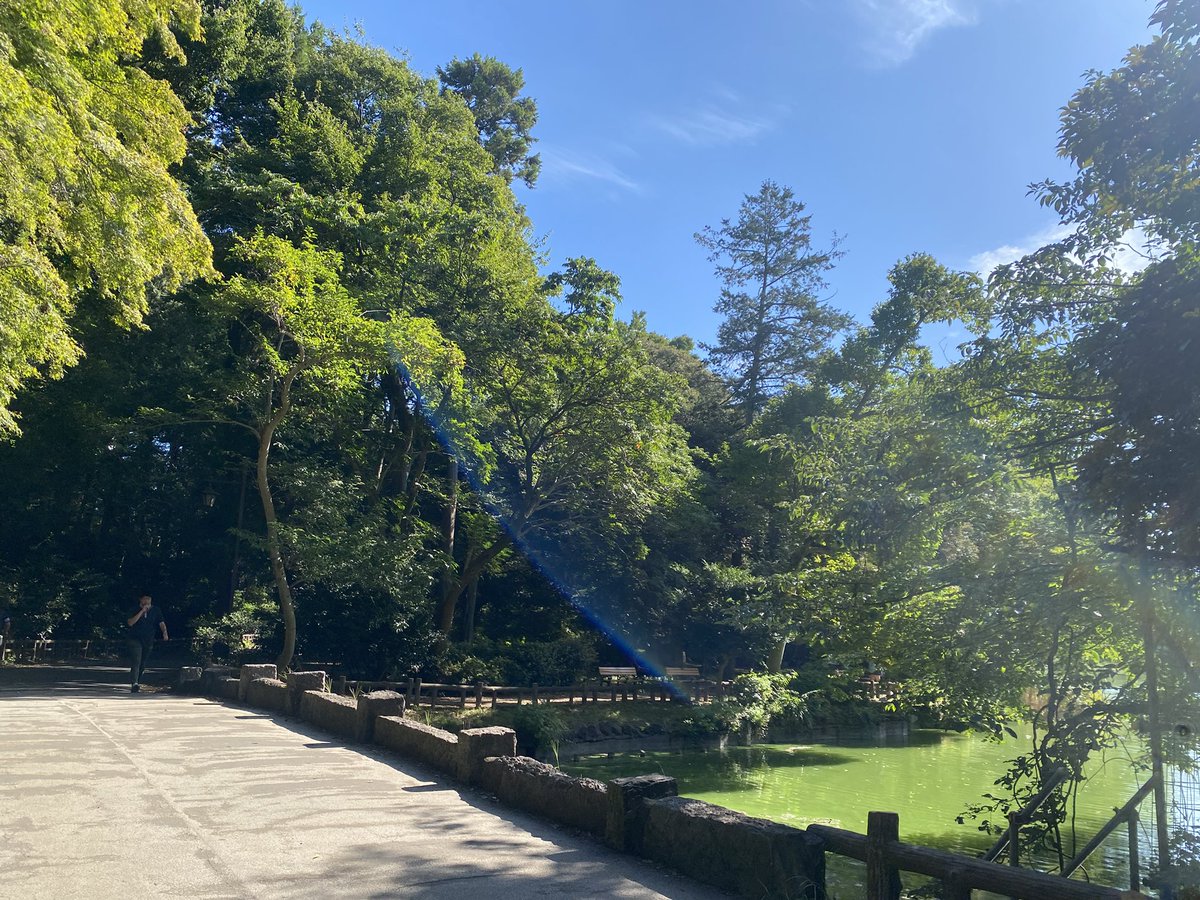 飛行機に乗る前に井の頭公園おさんぽした