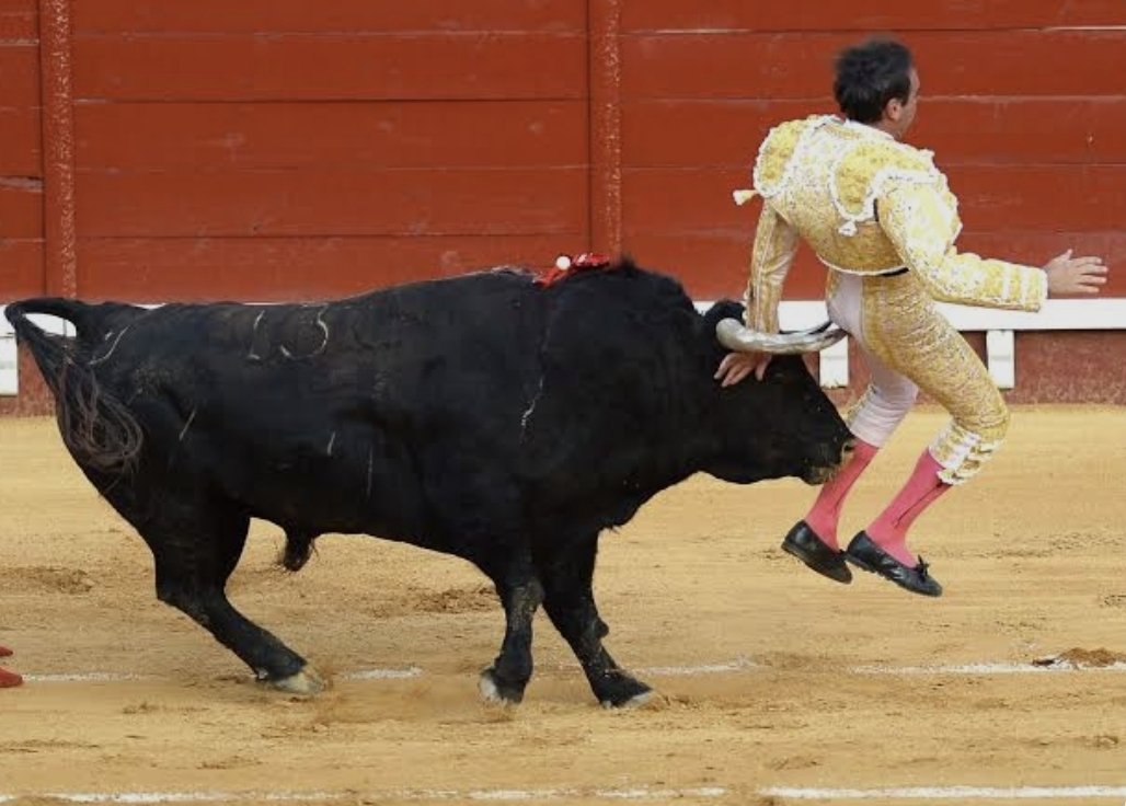 Erkek için evlilik; mutluluktan havaya uçarken, sonuçlarına da kutlanmaktadır... 😁