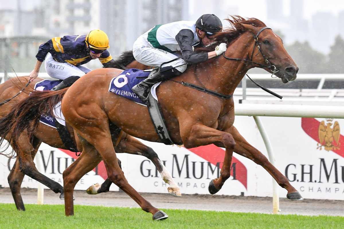racing_nsw's tweet image. "The Epsom is there as a back up but we’ll most likely do the Five Diamonds prep."

There's no shortage of options for Rise At Dawn but Ben Hayes says Saturday's Shannon Stakes at Rosehill is a nice fit for now. 📸Racing Photos

STORY: tinyurl.com/ymtyxvuy