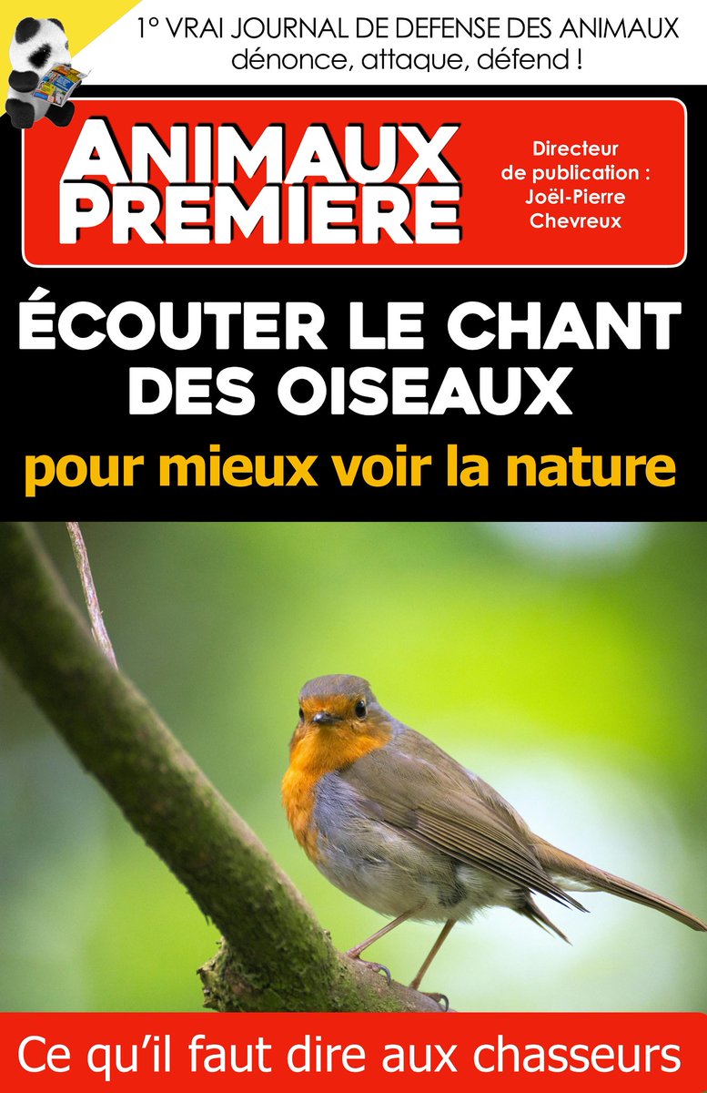 Animaux1ere's tweet photo. 🐦‍⬛ Ecouter le chant des oiseaux pour mieux vivre la nature 🍀🌸
💡 Retrouvez notre article ⤵️
https://t.co/XFVwiJKriV

Dans une société toujours plus rapide et anxiogène, écouter les oiseaux devient un luxe et un acte d’équilibre.

#Animaux #Oiseaux #Nature @Info1_premiere https://t.co/bUhP5uzCNi