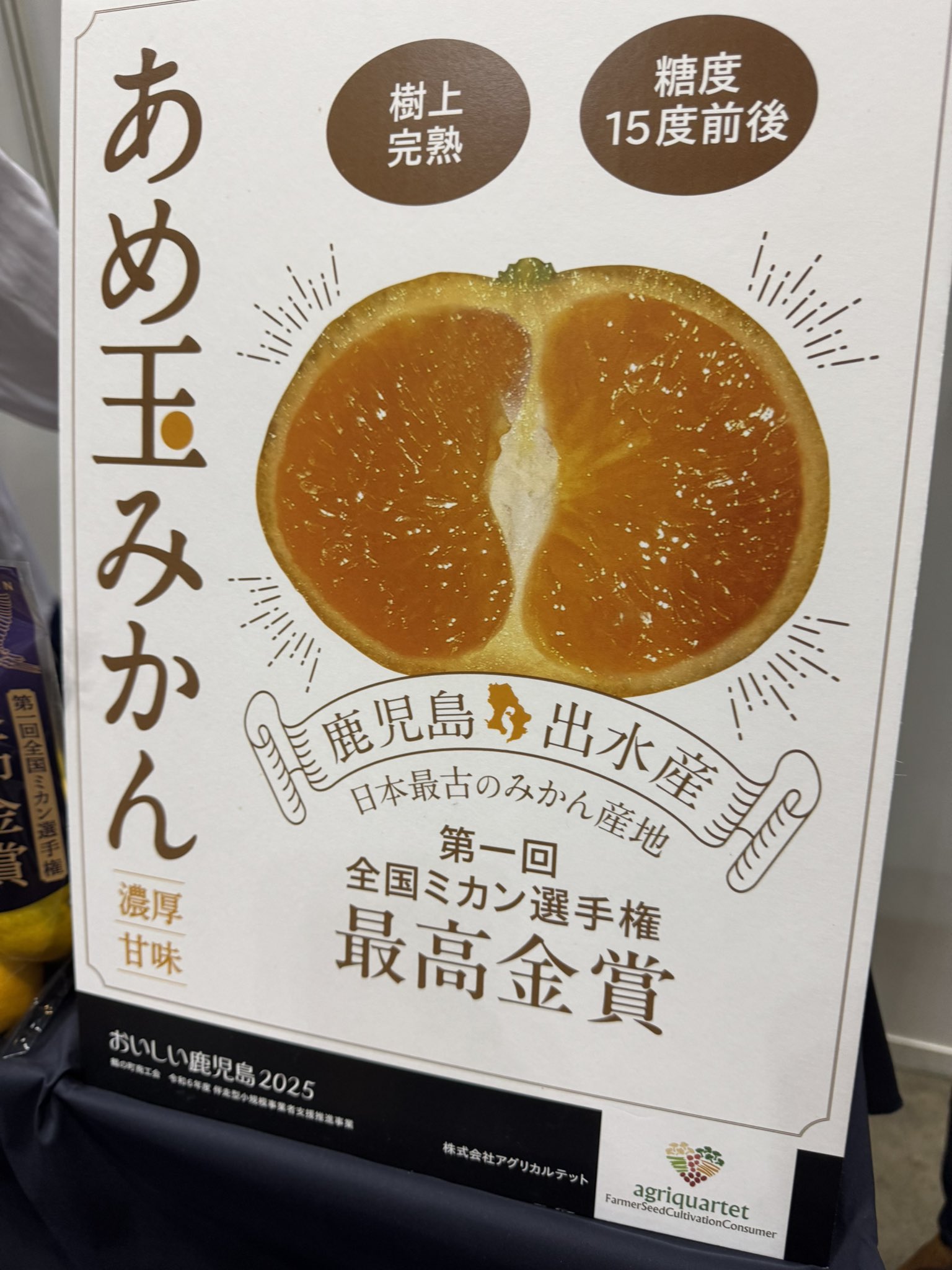 巨きな卵 b-faith01_giran3