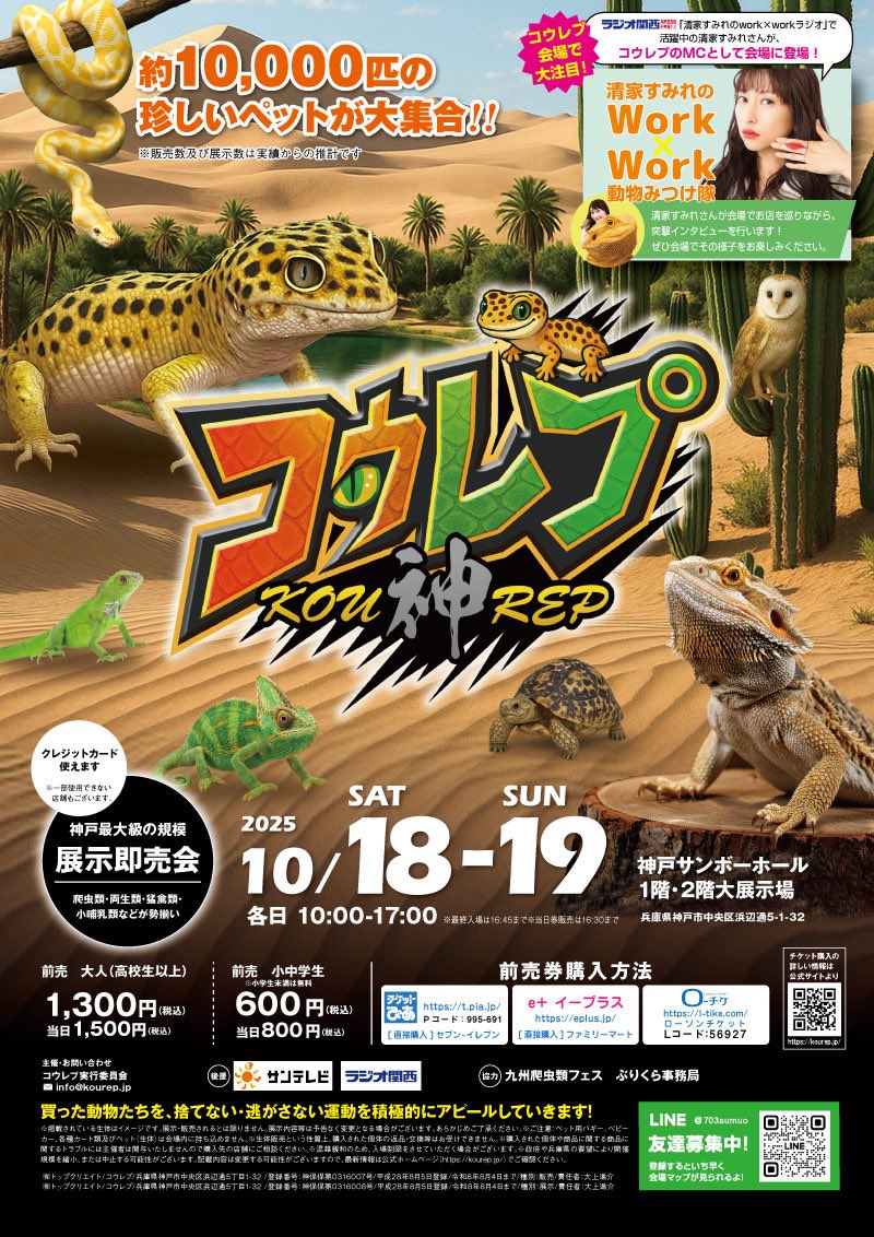 レプタイルセット　本日7/26限定！ レプタイルズワールド (@reptilesworld) / Posts / X