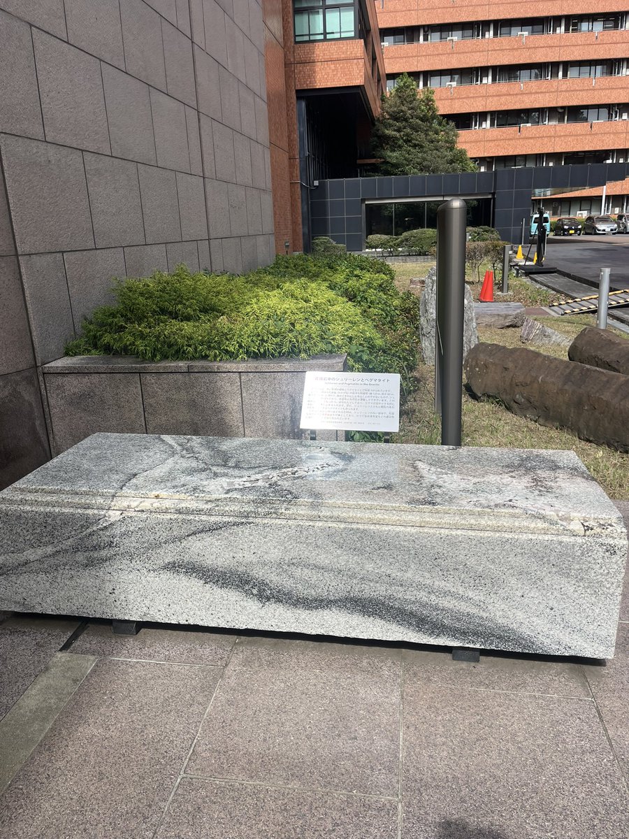 shindo_fossil's tweet image. 葬送のシュリーレンなるものを観測した