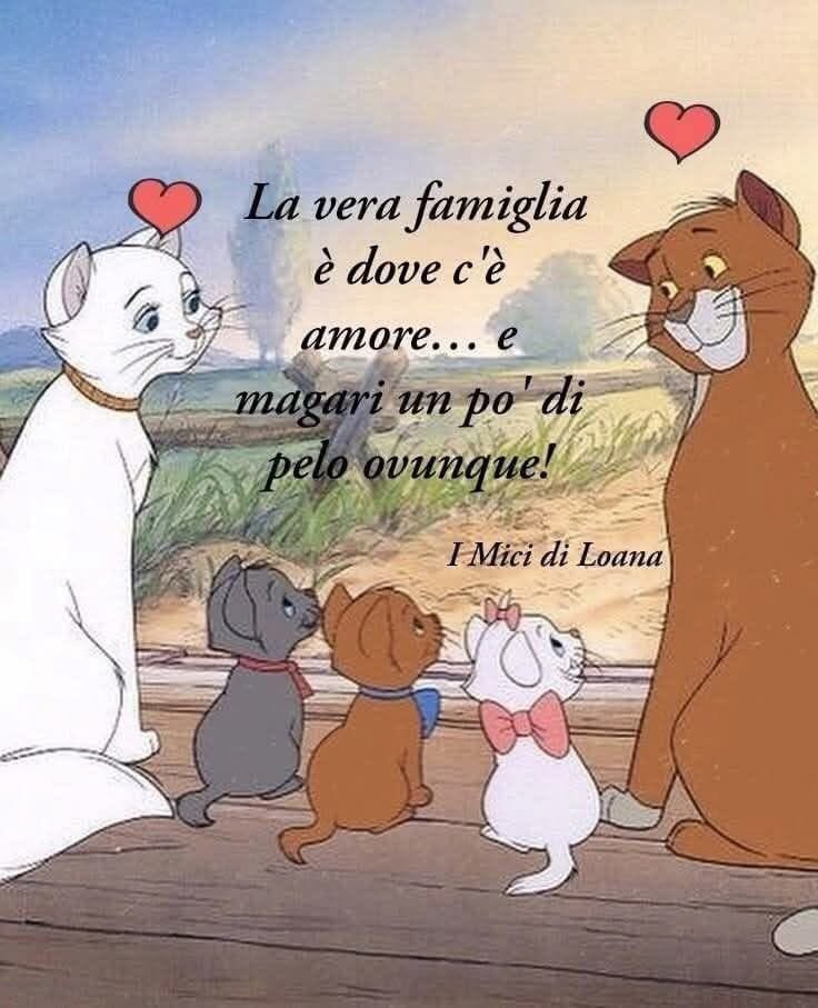 Oggi è la giornata dei sogni buona realizzazione a tutti.
#giornatadeisogni 
#saluteebenessere
🌹