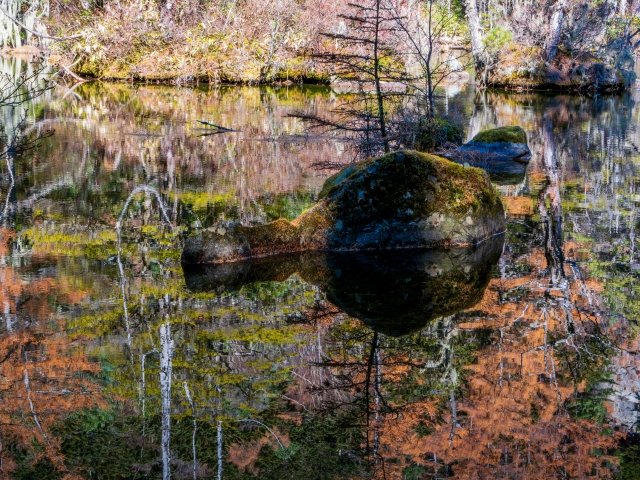 🏔🍁待望の秋到来！🍁🏔 夏もいいですが、秋の上高地もとっても美しい