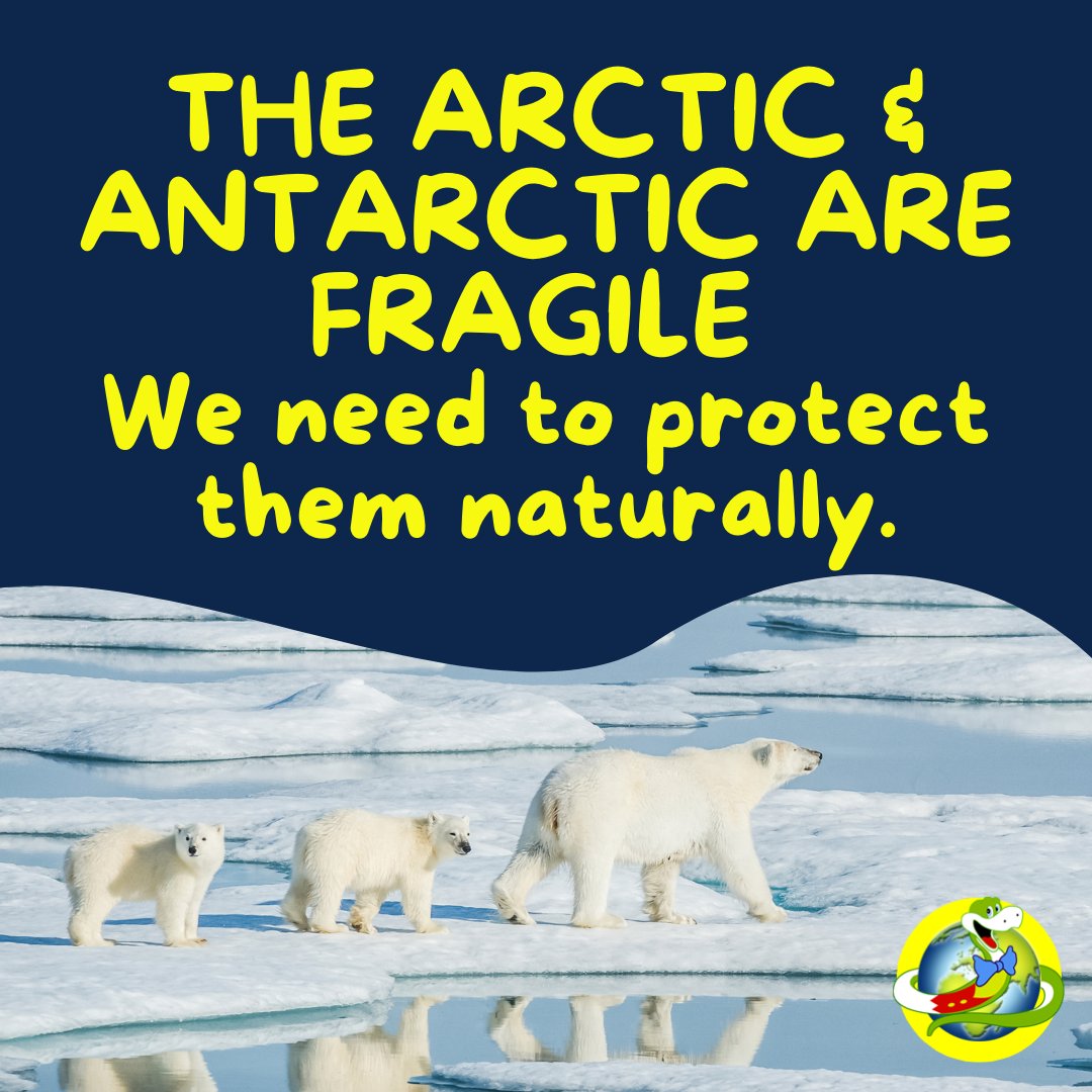 Scientists warn that “fixing” the Arctic with machinessss &amp; chemicalsss is risky and probably won’t work. The best way to protect it? Cut pollution and reduce fosssssil fuels! Jake x bbc.in/4maEt4I  ❄️💚 

#climatechange #protectthearctic #ecowarrior #kidsforclimate