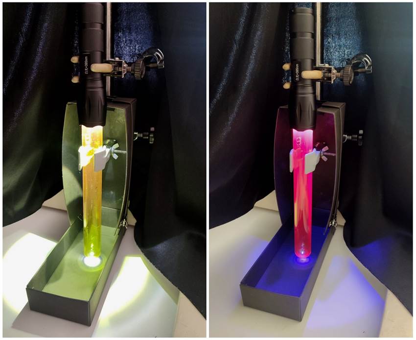 ¡ Os esperamos en la Plaza del Pilar, con nuestro taller "El lado oscuro de la clorofila"