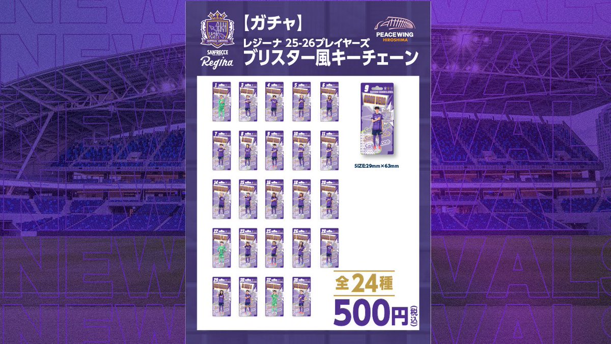 サンフレッチェ広島レジーナ缶バッジ15個セット サンフレッチェ広島