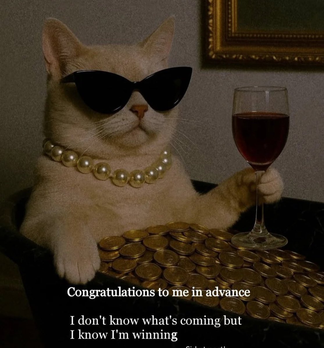 Aisha (@haqqmusaafir) on Twitter photo 