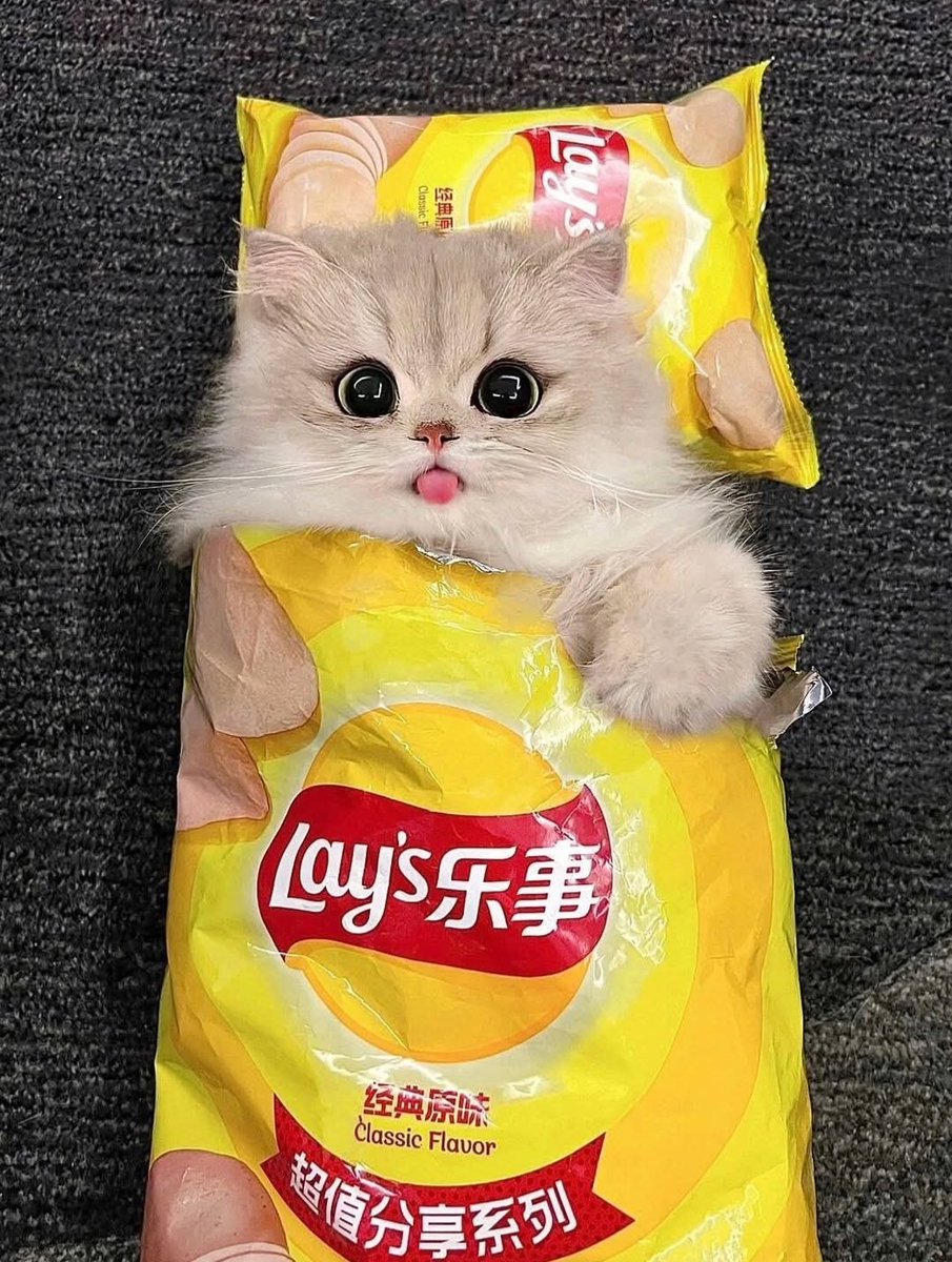 السلام عليكم ورحمة الله وبركاته مين هيرد عليا السلام 🌺🌺