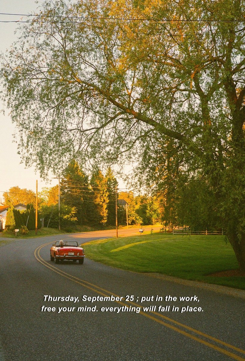 malicknoir's tweet image. 