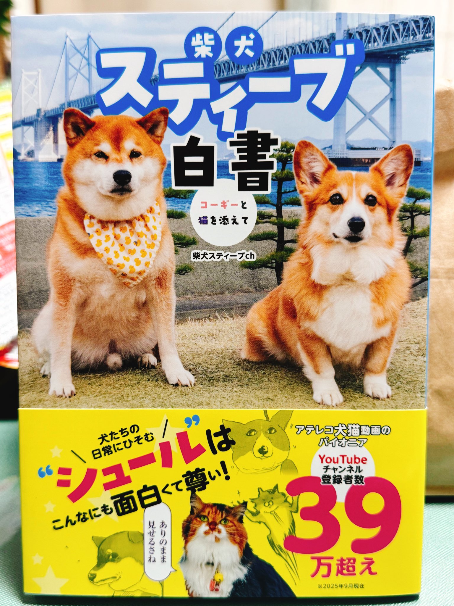 Shi-Ba【シーバ】＋犬びより (@ShiBa2929) / X