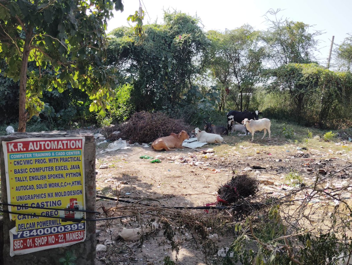 RWAManesar's tweet photo. When is @MCManesar doing this noble work in Sector-1 IMT Manesar? https://t.co/N4Fqpu46iD