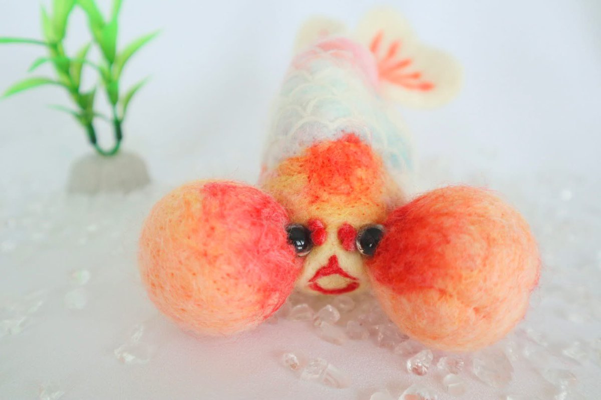 新しい桜水泡眼が生まれました。
オレンジがかったピンクのグラデーションと、大きく開いた口紅付きの口がチャームポイントです。
BASE
demetyoubi.thebase.in/items/119659171
Creema
creema.jp/item/19650213/…

This is cherry bubble eye.
Etsy
etsy.com/jp/listing/434…