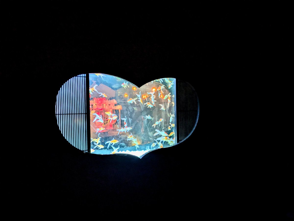 REIYukino10's tweet image. アートアクアリウム美術館GINZA
#アートアクアリウム #銀座の金魚