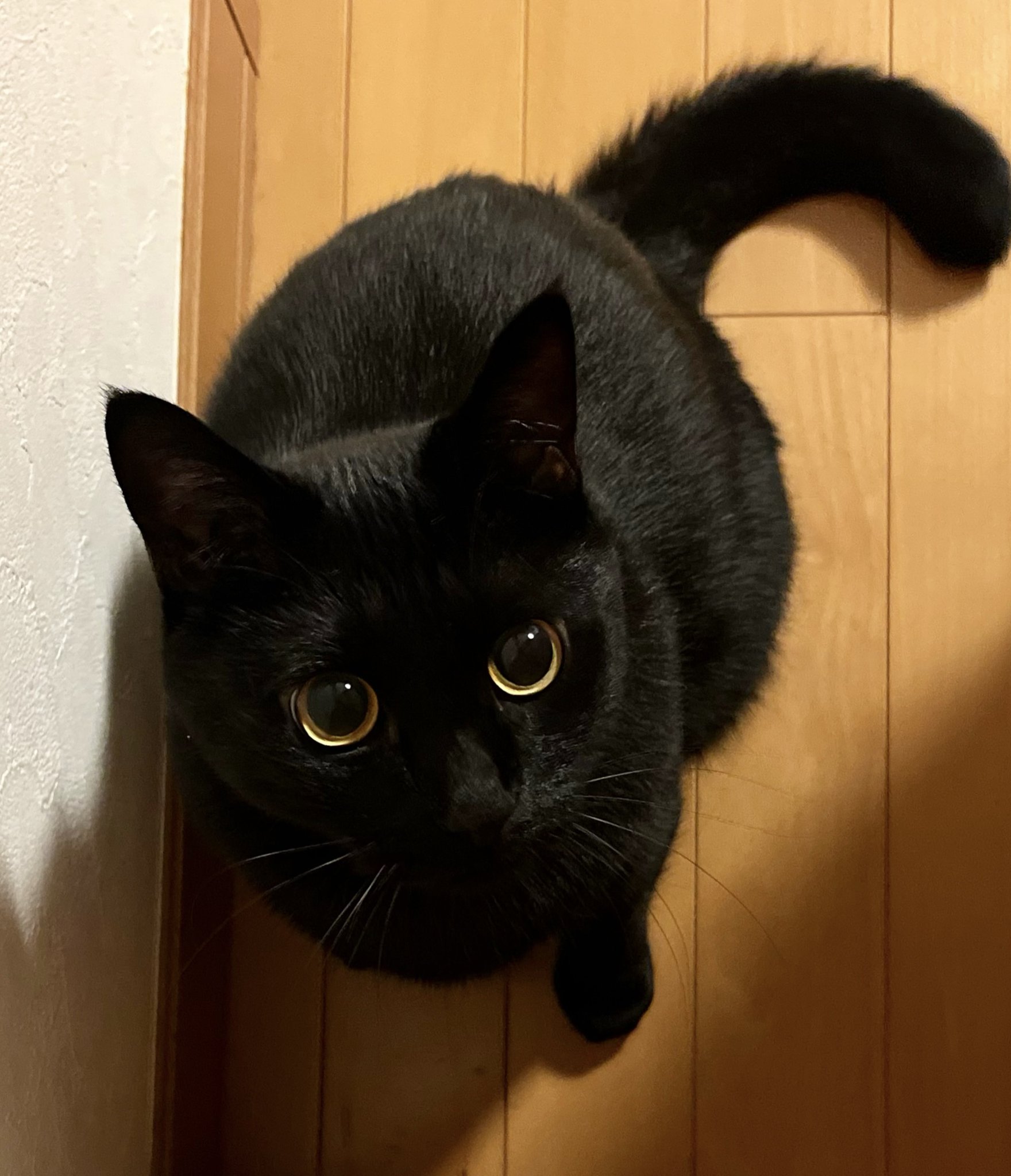 うに3才 on X: 