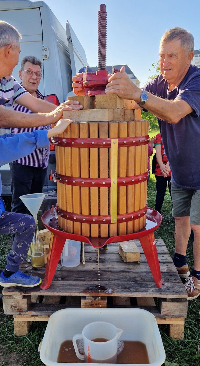 OlivierLebreto5's tweet image. [ 🍇 Vendanges sur l’Île Honoré de Balzac à #Tours] 
En présence de plus de 150 écoliers, le raisin n’attendait que de se faire cueillir, puis pressé. 
🙏 Merci à l’association Entrerives Lavigne 
#proximité #écouter #échanger #jeunesse