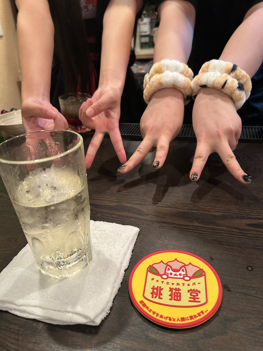 来たぜ！桃猫横浜！