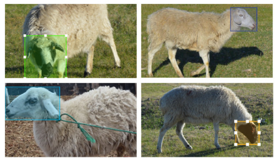 Applsci's tweet image. #highlycited paper
📚SqueezeNet: An Improved Lightweight #NeuralNetwork for Sheep #FacialRecognition
🔗mdpi.com/2076-3417/14/4…
👨‍🔬by Min Hao et al.
🏫Inner Mongolia Agricultural University
#sheepfacerecognition #SSD