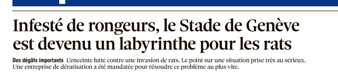 TomServette's tweet photo. Il y a des rats 🐀 Stade de Genève 🏟️😱🥳😉 @ServetteFC  🐀. https://t.co/2LdMHB8Css