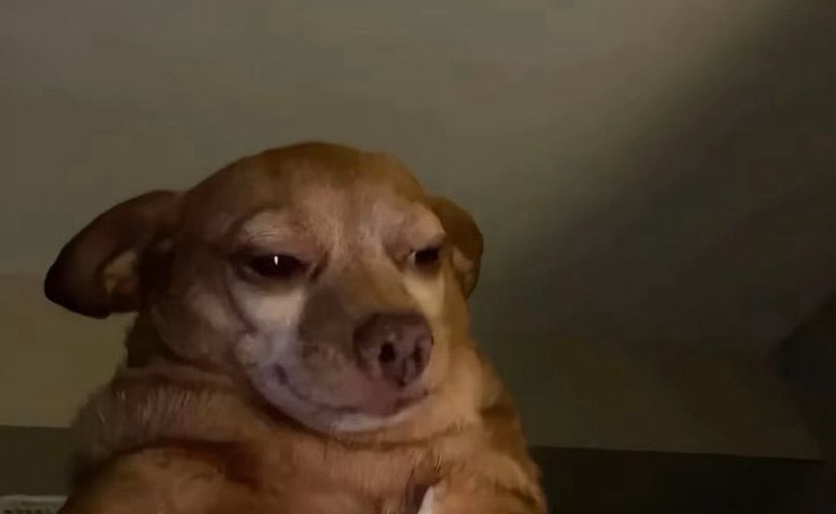 Having a job is cool but EVERYDAY ???