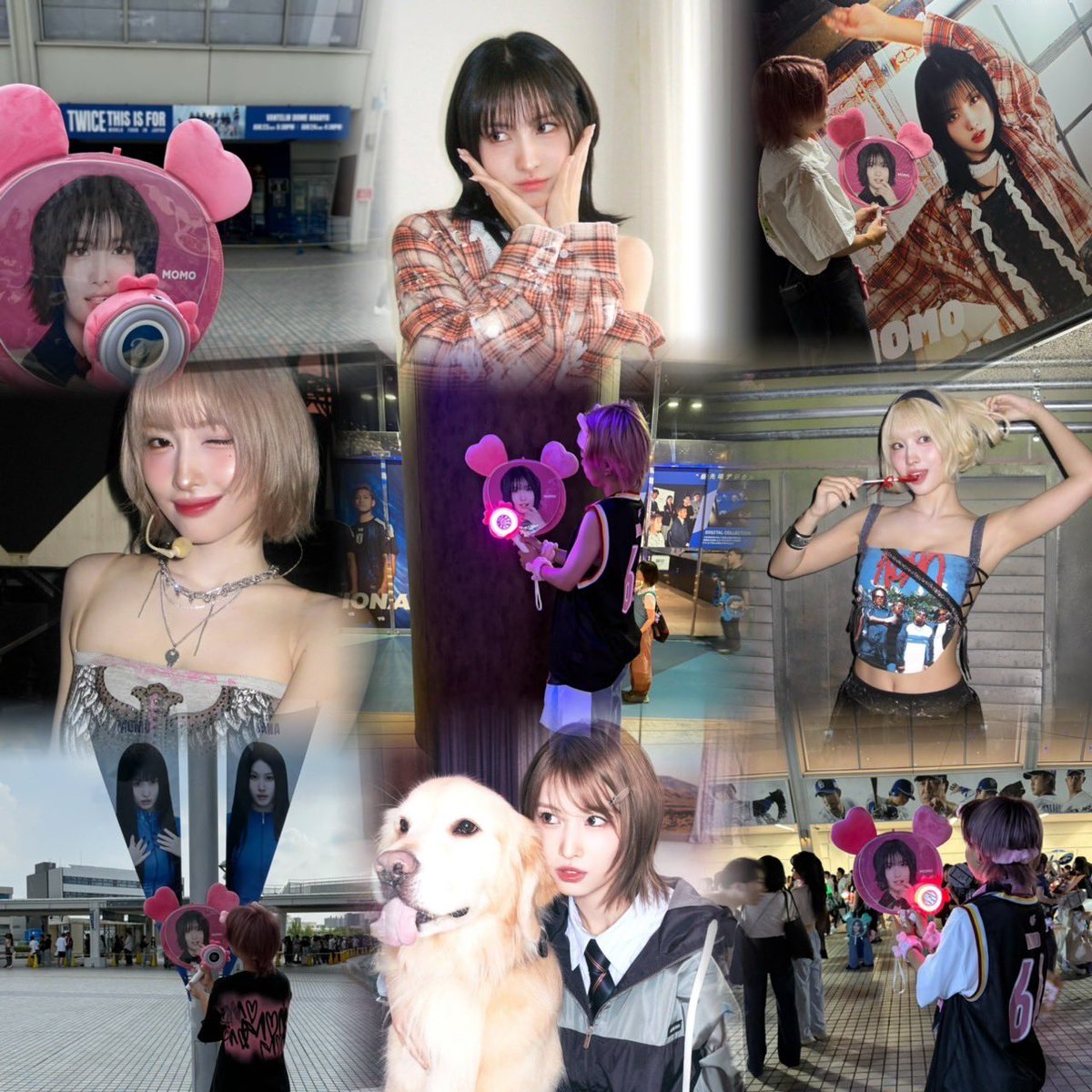 〜newタグ🏷️〜

　06(18)　／　🚹　／　静岡　／　W会員

　　　　　TWICE：MOMO🩷🐻

　　拒否無し／無言フォロー⭕️／タメ⭕️

　　　　♡orRTでお迎えに行きます❗️

来春のライブまでにたくさんの人と繋がりたいです！

#onceと繋がりたい 
#TWICE好きな人と繋がりたい