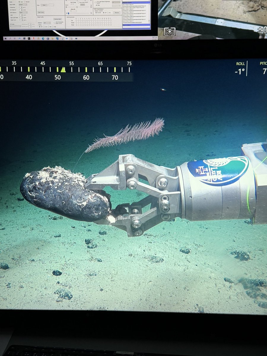 GeomarResearch's tweet image. Acabamos de publicar SI, procesos biogeoquímicos del mar profundo y su relación con depósitos minerales: frontiersin.org/research-topic…🤩🦠🔬