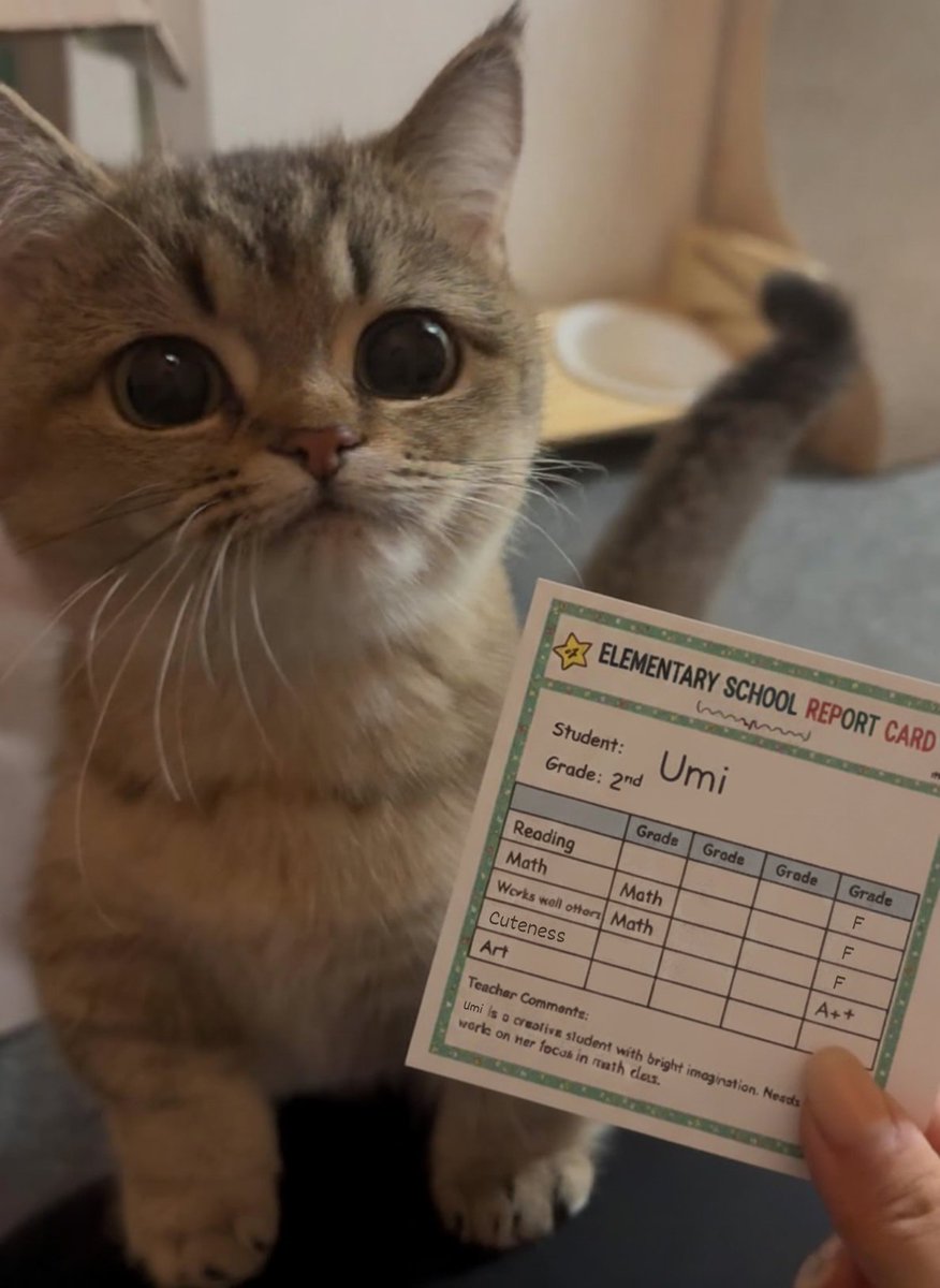 Top of the class… in cuteness 🐾❤️