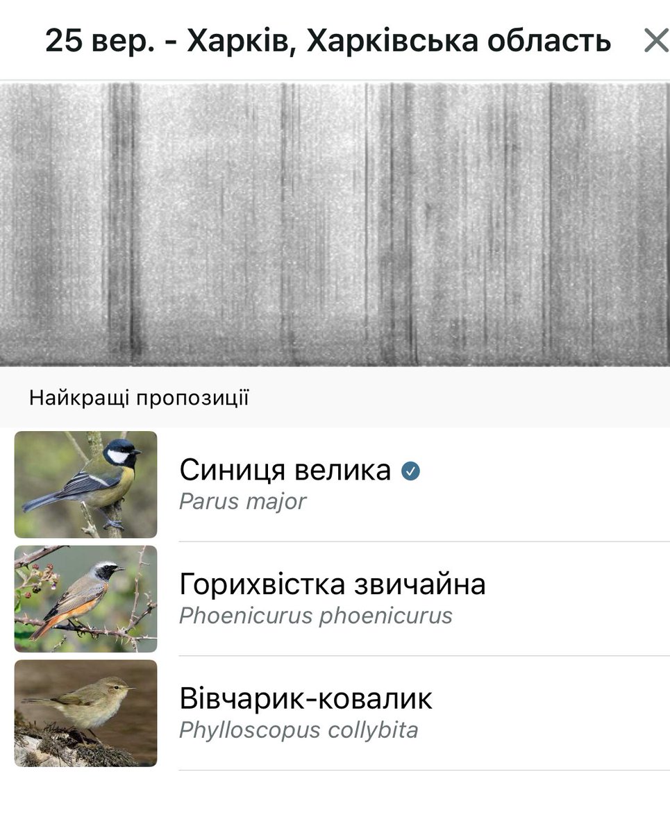 Збулася моя мрія: я пила каву з вівчариком-коваликом🥰

(Він не пив, а співав)