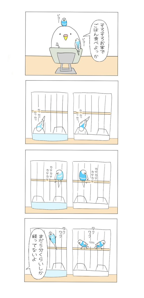 クピリンコ (@kupirinko) / X