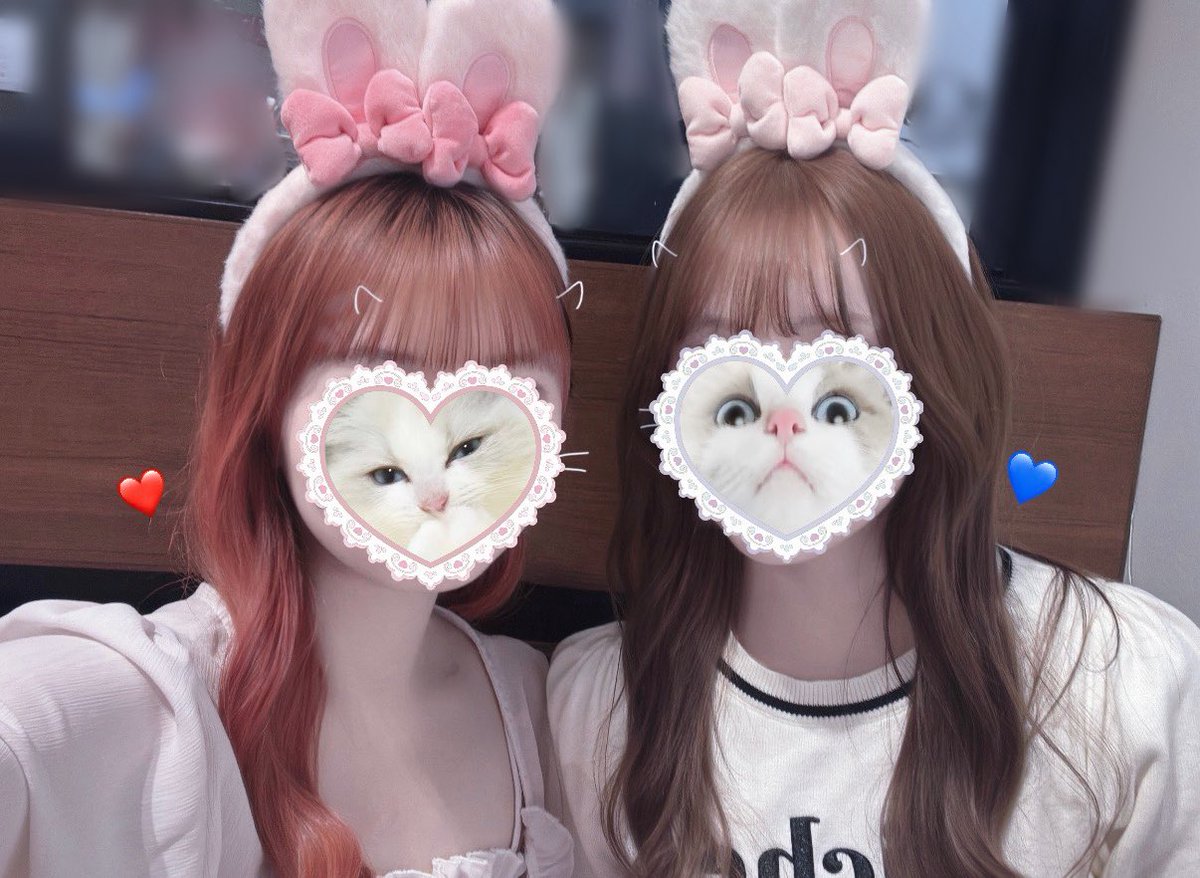 エスターバニーカフェ🐰🎀꙳.*