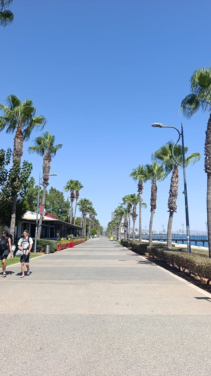 CyprusPassion's tweet image. Good morning from #Limassol..! 🌴🇨🇾💚
