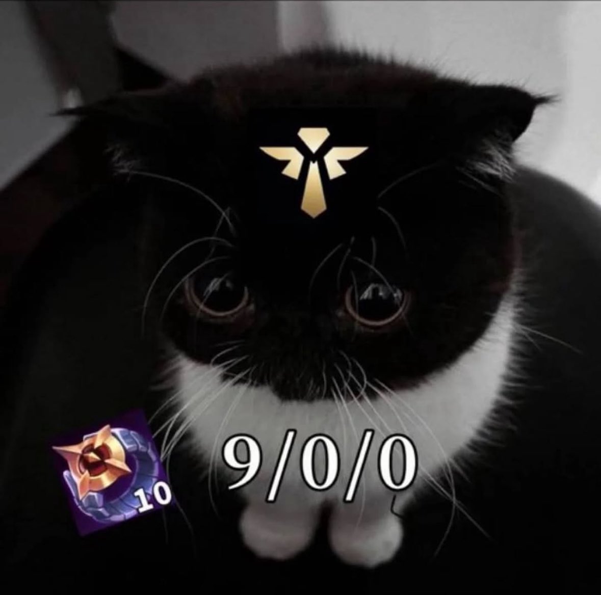 Kassadin (@cosmic_reaver) on Twitter photo 