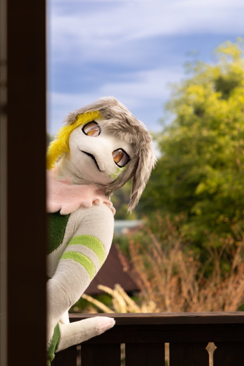 ゼルエル＆ロータス tweet media