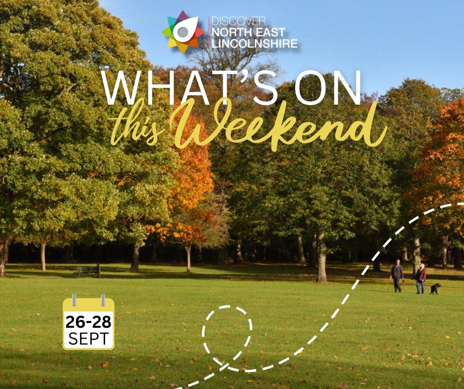 DiscoverNEL tweet media