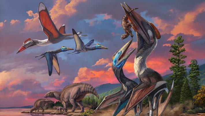 Paleontologists have described two new species of azhdarchid pterosaurs from fossils found in the Late Cretaceous Bayanshiree Formation in Mongolia’s Gobi Desert.

sci.news/paleontology/b…

#fossils #paleontology