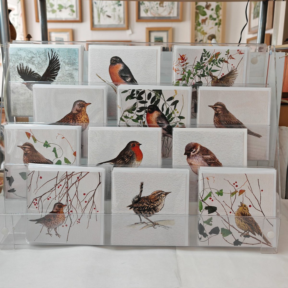 Lynn Bailey tweet media