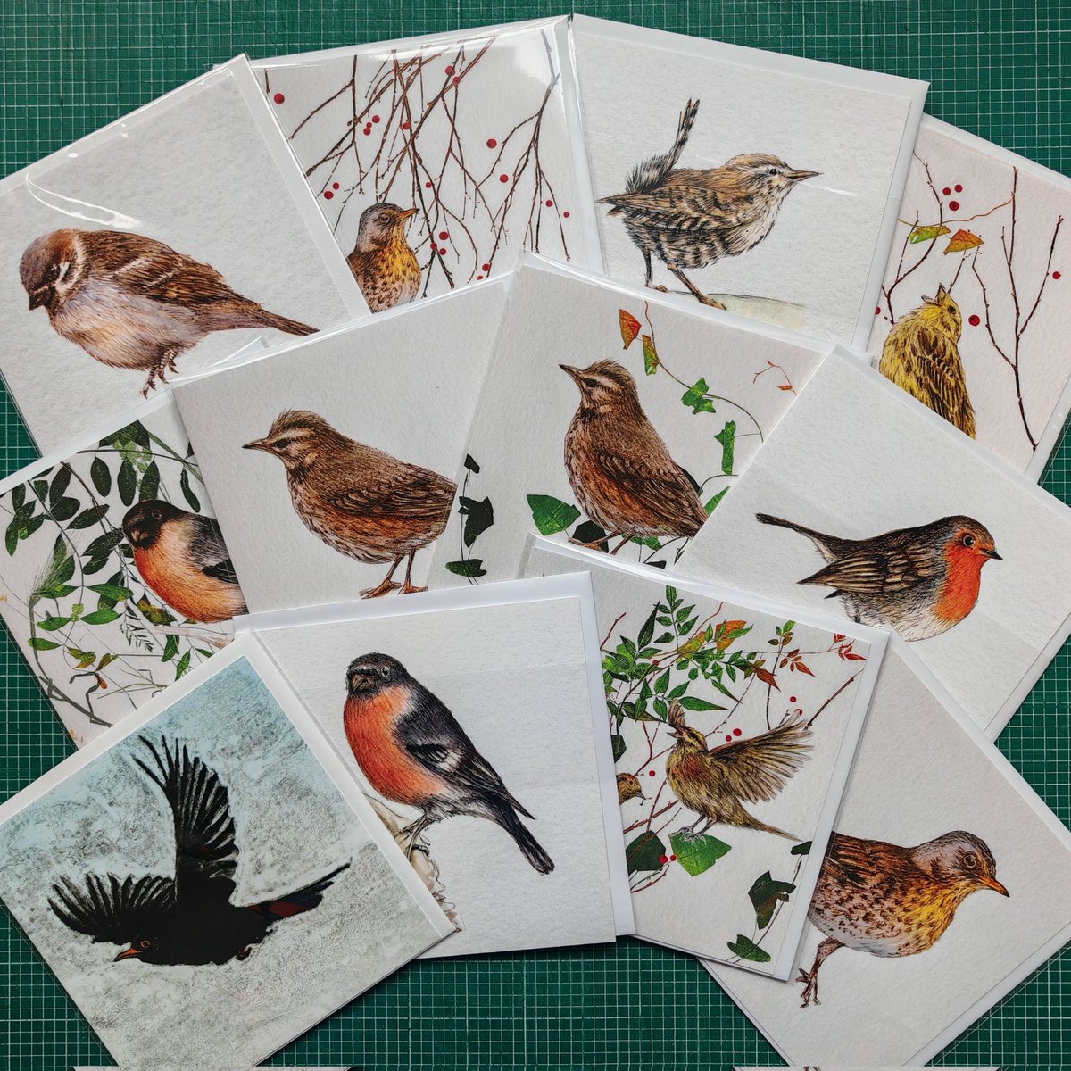 Lynn Bailey tweet media