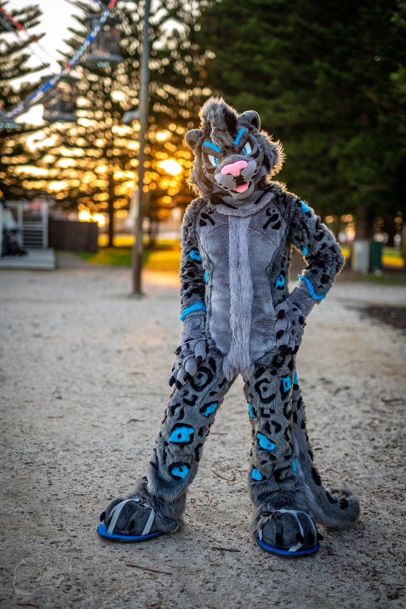 Kitty hours in the park!

📸- <a href="/tatosnowleopard/">Snebs</a>