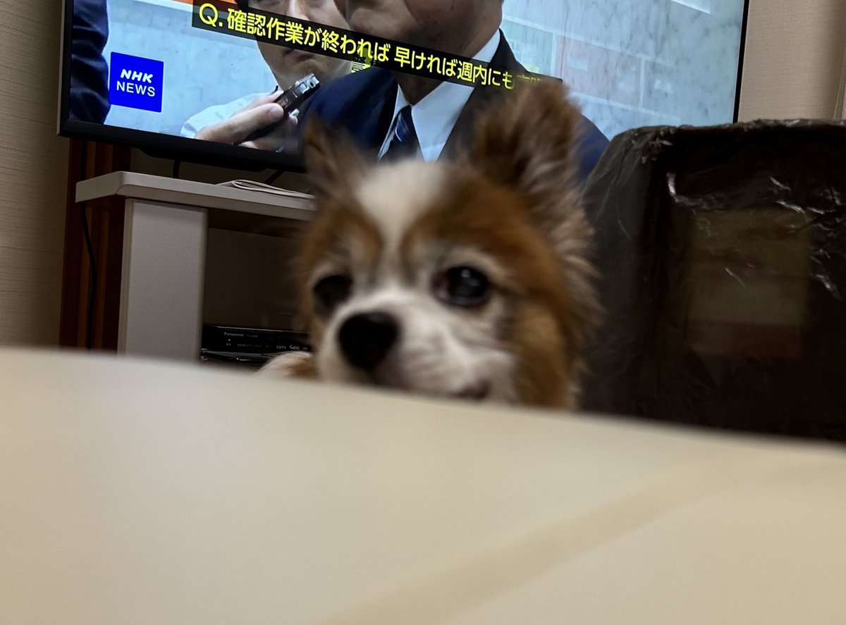 🐶ぼや〜としてますがイッヌ🐾
👤健康診断……己の体重に恐怖𐤔𐤔𐤔

⭐️今日も一日お疲れ様でした🌙
🛌おやすみなさいぬん🐾