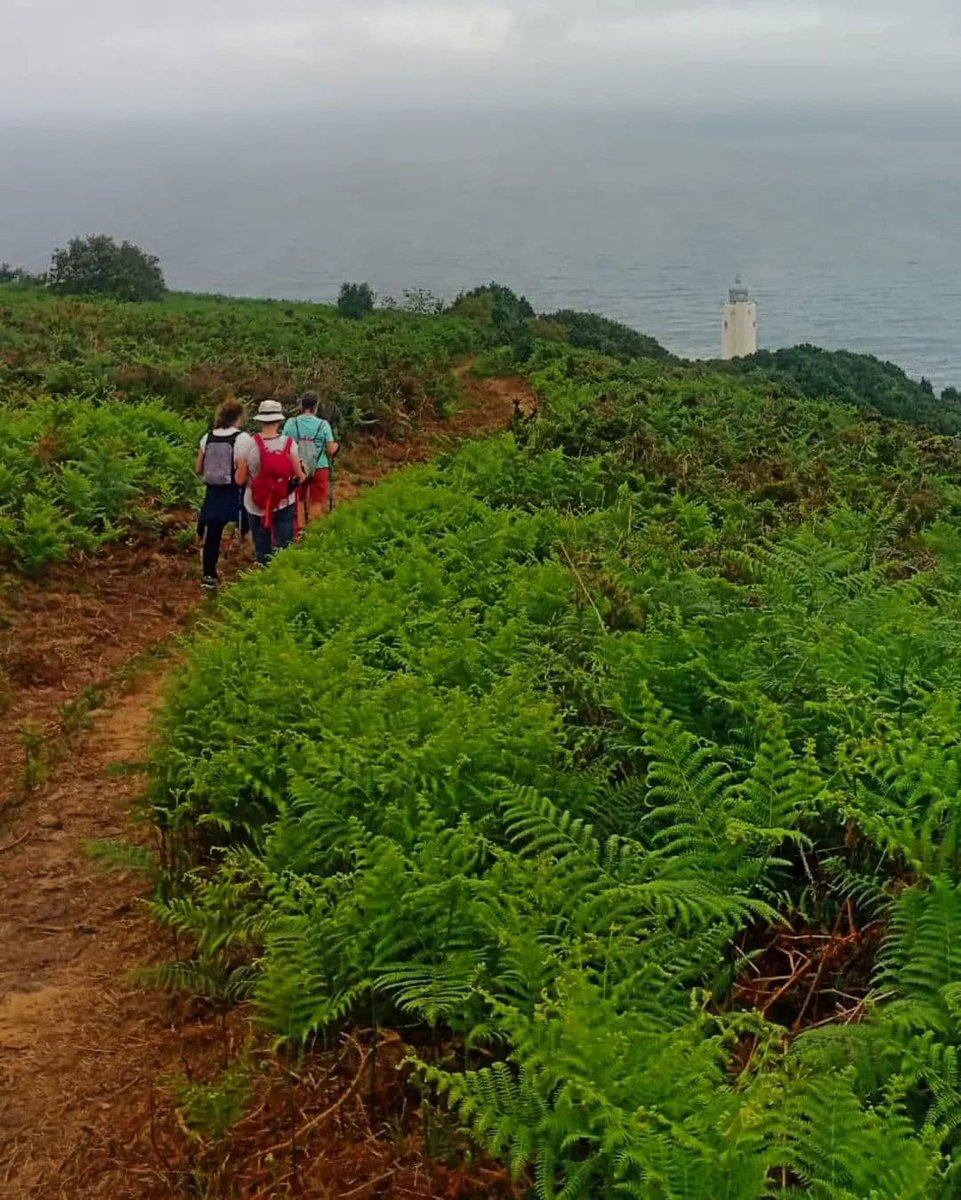 🌲🚶‍♀️ ¡Últimas plazas!
Este sábado 27/09 a las 10:15:
👉 Marcha Nórdica en Gorliz (nivel alto).
Naturaleza, deporte y buen ambiente. ¿Te apuntas?
ℹ️ Inscripciones en la Oficina de Turismo de Gorliz:
94 677 43 48 / 688 818 876