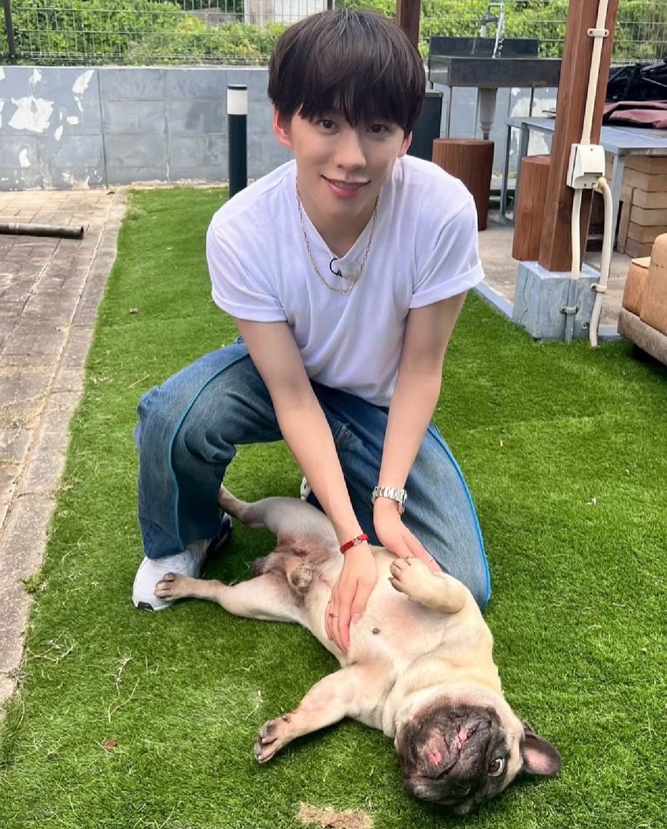 ゲン太犬 ゲン太犬 ゲン太犬 麦太 & げん太 (@02mugita28) • Instagram photos
